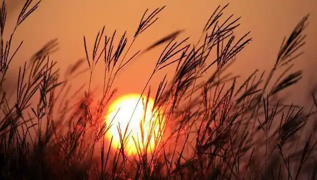 情感语录给自己一缕光!