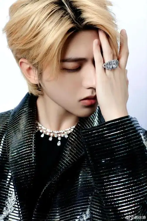 蔡徐坤个人巡回演唱会即将开始!网友:期待相见