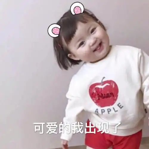 可爱的我出现了(罗熙表情包)
