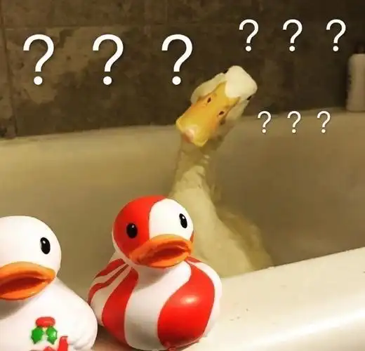 搞笑幽默无水印表情包图片