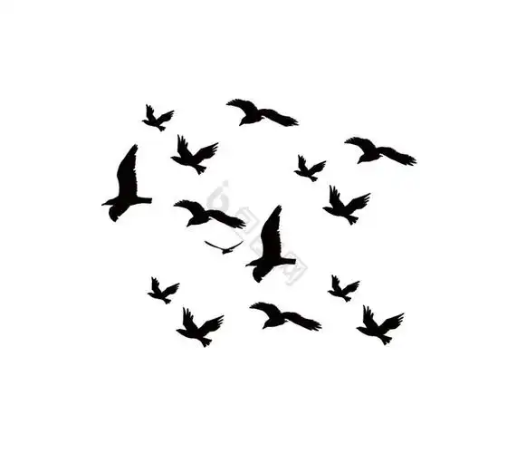 鸟飞鸟天空飞翔展翅翱翔插画