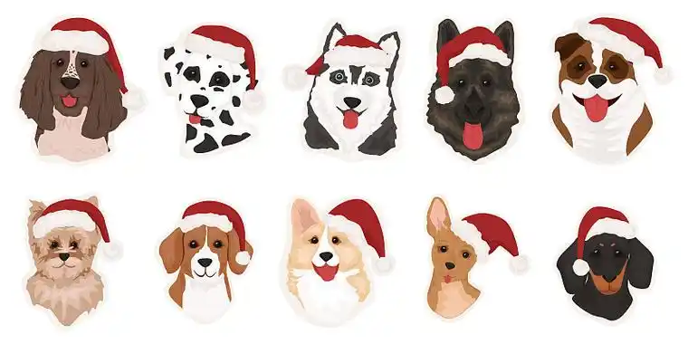 不同品种有趣的狗的集合.圣诞快乐,2021年新年快乐.