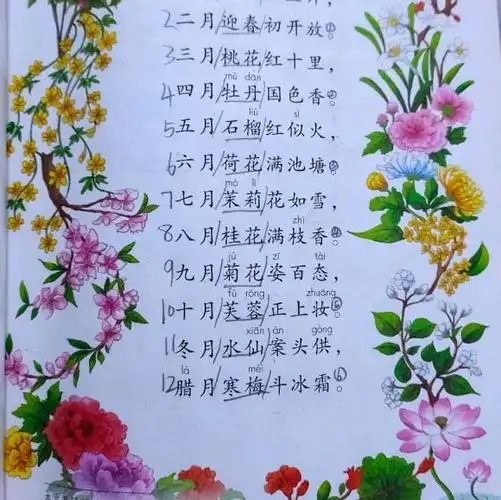 十二个月花的顺序农历的第一个月