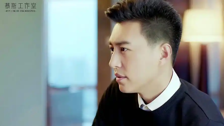 靳东 谭宗明 这是我近几年在银屏上看过的最有霸道总裁气质的角色