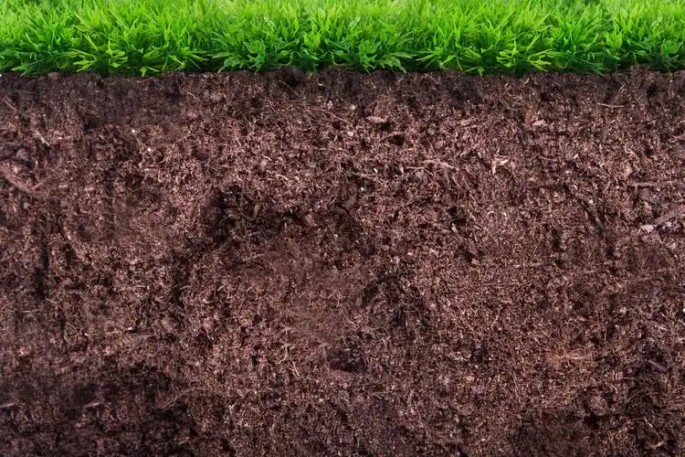 在草下的土壤,绿草下的脏土.