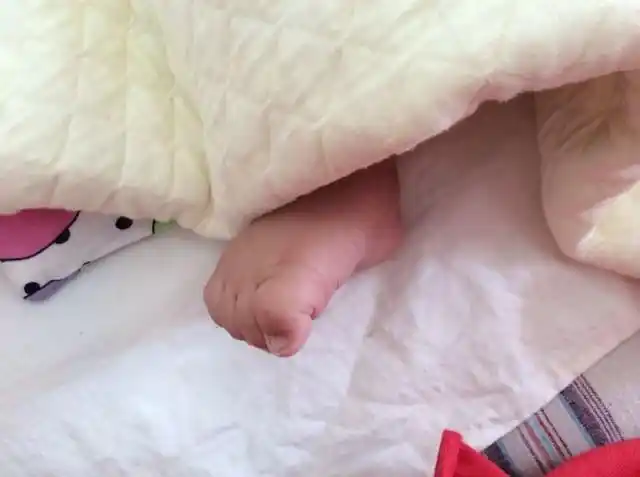 宝宝的脚