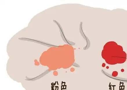 这些迹象说明受精卵已经成功着床了备孕父母必知