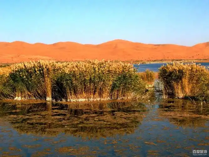 p>月亮湖位于内蒙古自治区阿拉善盟阿拉善左旗境内,是腾格里沙漠中的