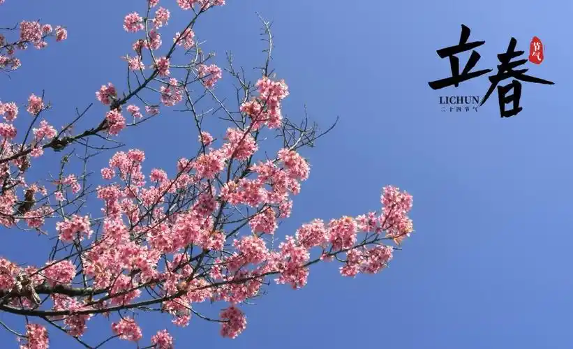 立春时节到来3840x2400分辨率查看