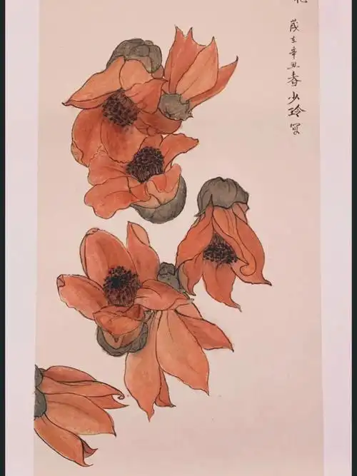 国画木棉花