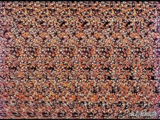 三维立体图你能看到隐藏的精彩吗