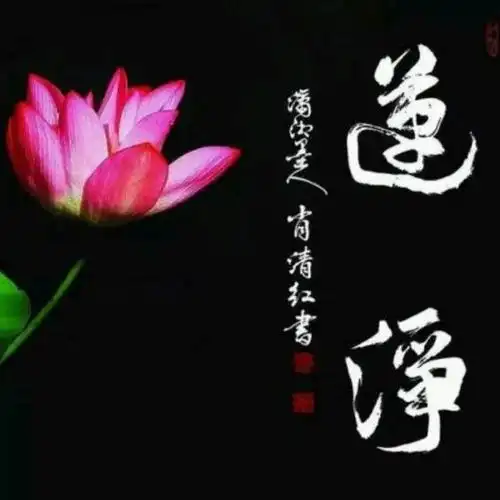 72悟莲72-我的莲花. mx- 全民k歌,ktv交友社区