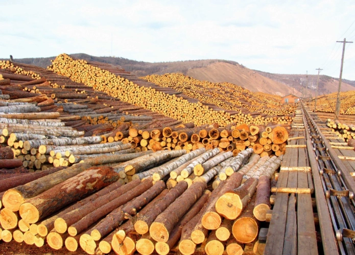 旅游:当年风光无限的莫尔道嘎贮木场,木材一眼望不到头!