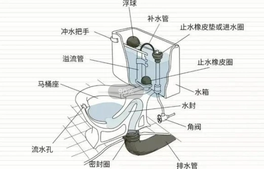 不要急,今天我们就来了解一下马桶结构图,如果你哪天遇到了"马桶问题"