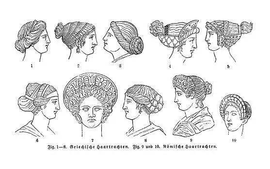 希腊,罗马,发型,插画,德国,百科全书