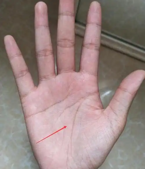 生儿子的女人手相手相中出现此纹早已注定生男孩