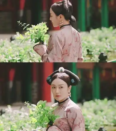 延禧攻略富察容音乾隆一生的白月光