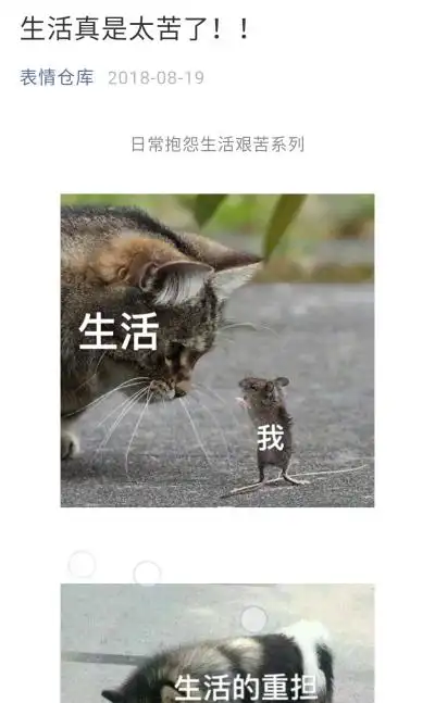 生活太苦了 - 堆糖,美图壁纸兴趣社区