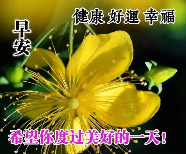 原创朋友早上好问候语大全最漂亮的早安图片带祝福语