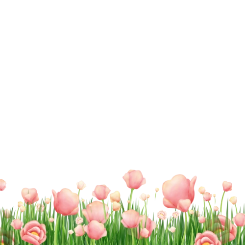 春天花卉素材图片大全