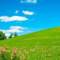 草原头像 绿色风景头像 清新绿色草原风景图片