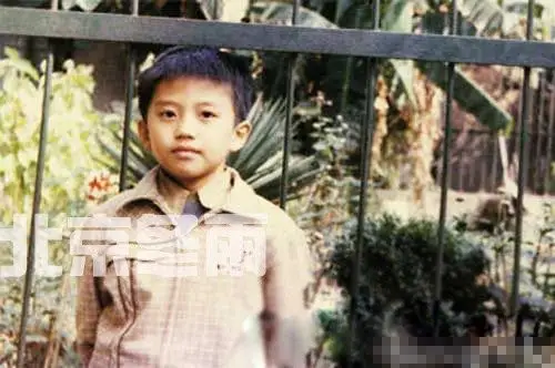 邓超昔日清秀童年照曝光虎头虎脑可爱图