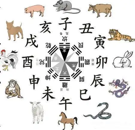 12生肖五行方位八卦图解析