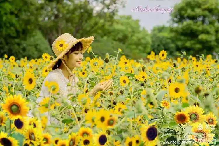 春暖花开,微笑前行