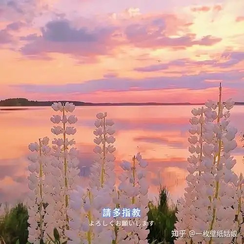 有哪些好看的微信背景图可以分享一下吗