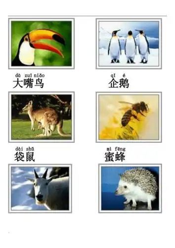 动物类图片及名称doc6页