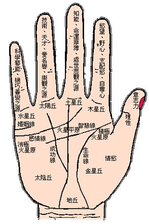 手相教程:生命线短不一定寿命短(图)