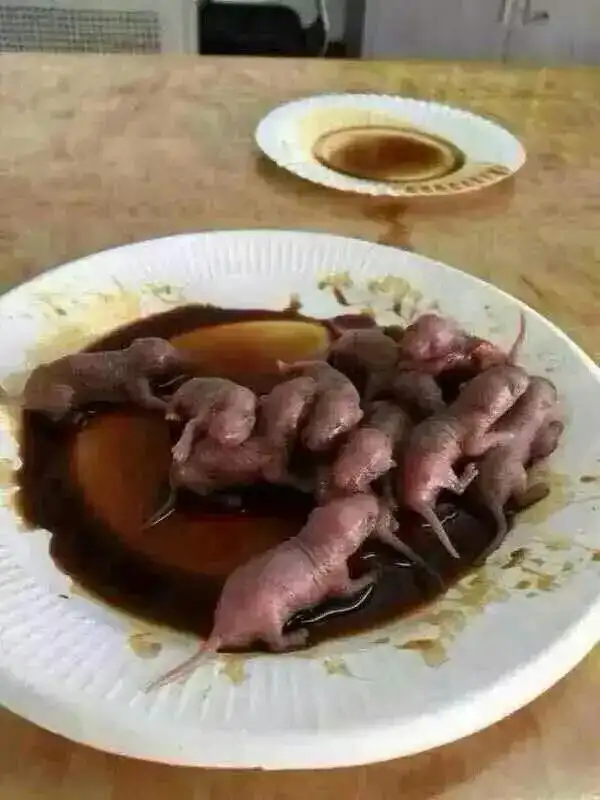 盘点世界10大恶心食物:鲱鱼罐头排不上号!重口味必看,敢尝试吗