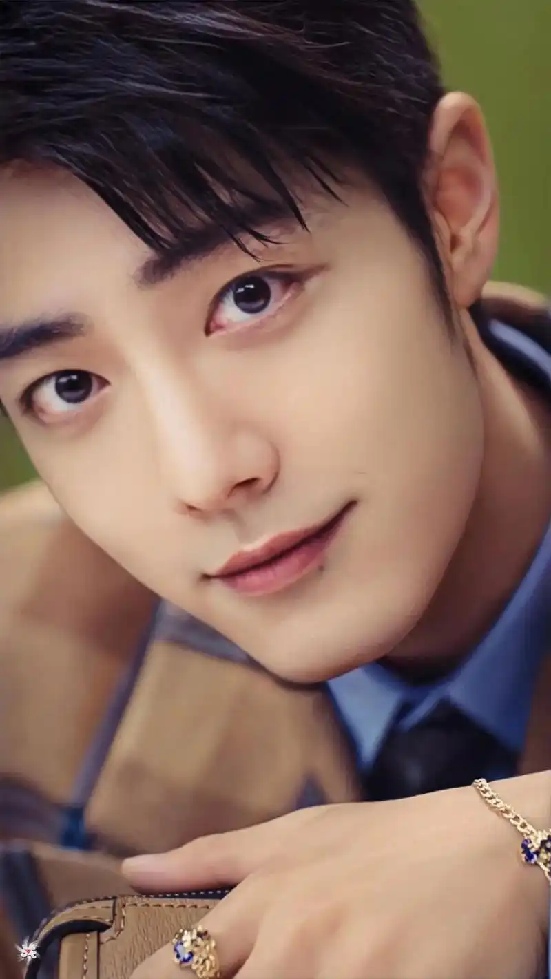 肖战 谁能抵挡住如此帅气的脸庞 #肖战  - 抖音