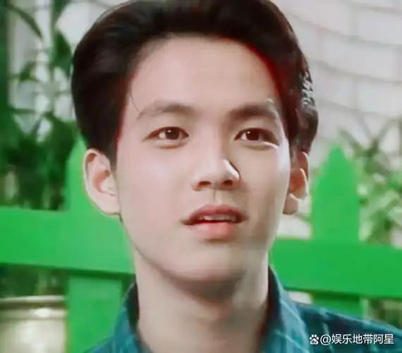 1995年,钟汉良的命运因遇见邰正宵而发生转变.