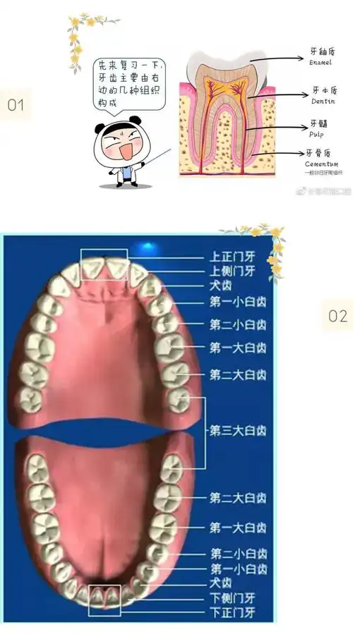关爱牙齿从我做起-----九十团幼儿园全国爱牙日主题活动
