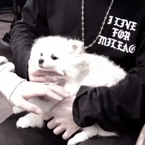 女友不是人系列情头善良勇敢优秀祝你也祝我