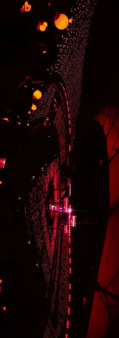 歌王华晨宇火星演唱会红海照片一次看个够!