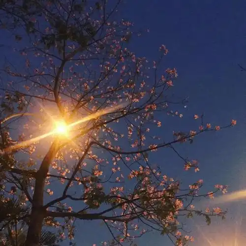 朋友圈简单干净背景图2020微信朋友圈背景图