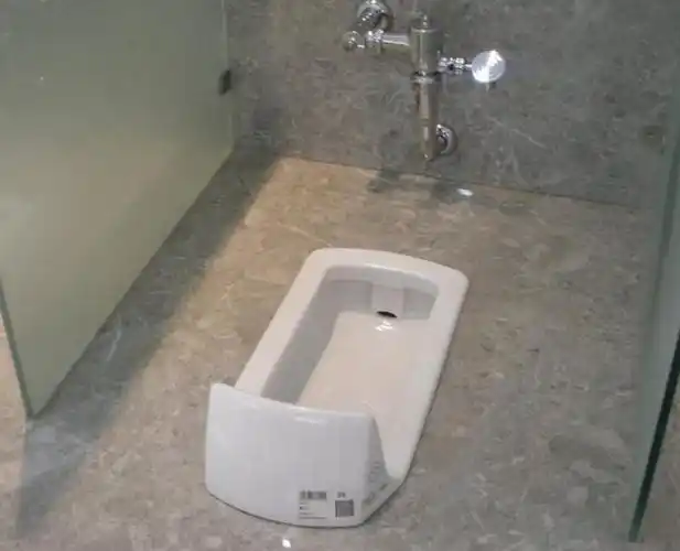 原来马桶改成蹲厕这么简单啊, 后悔之前花了600请人改了!