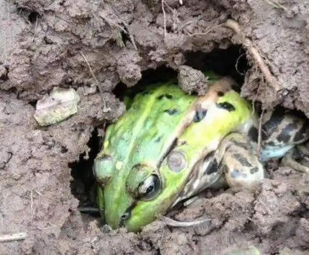 洋县谢村镇中心幼儿园 - 美篇