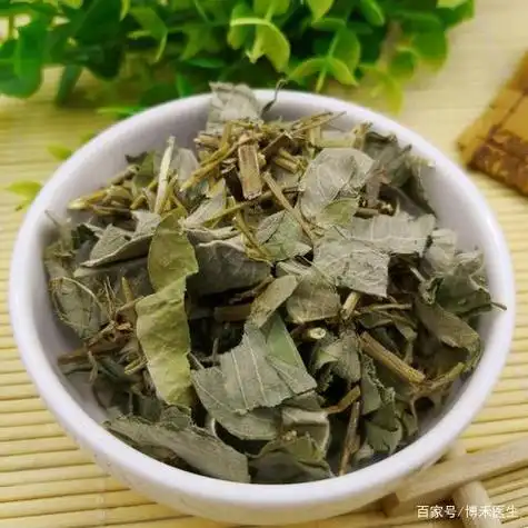 中药金钱草的功效:祛风湿 止骨痛 清热利尿 疏通经络 通淋消石