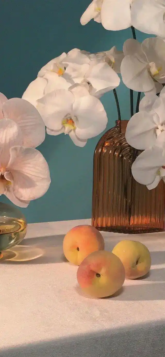 壁纸 ins 可爱 油画壁纸