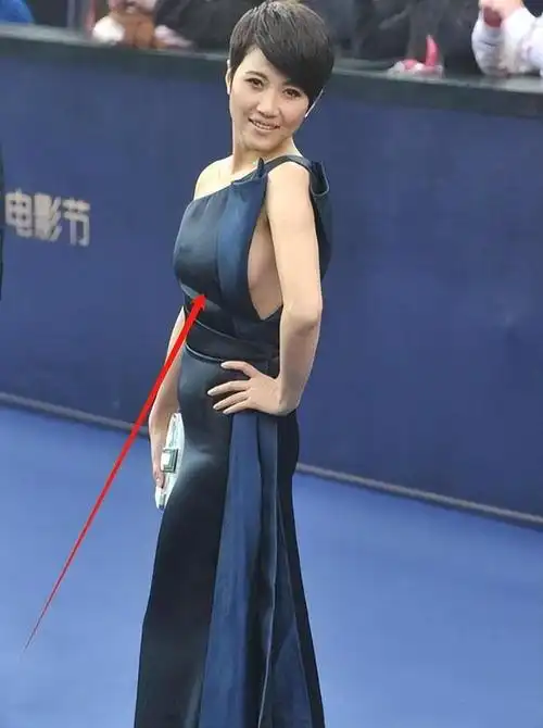 颜丙燕长胖了!150斤穿长裙走红毯暴露赘肉,魅力却不输刘敏涛