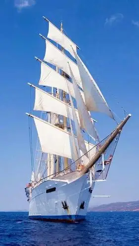 硬核航班停飞24个荷兰中学生帆船横渡大西洋回国