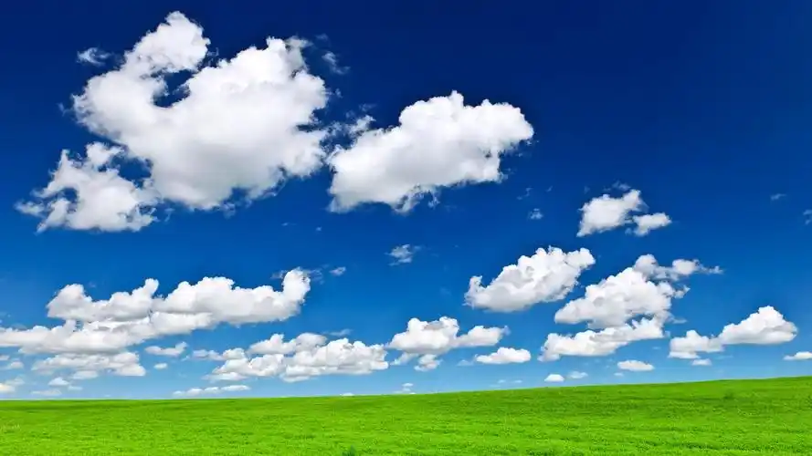 清新护眼草原,高清图片,电脑桌面-壁纸族