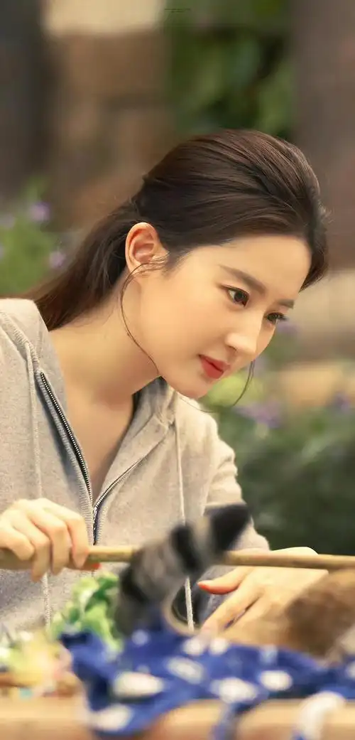 刘亦菲精美图集