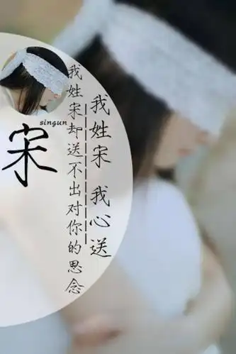 我姓宋,却送不出对你的思念