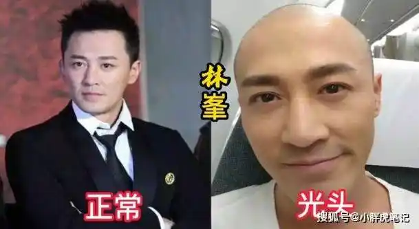 18位男明星光头造型对比_徐锦江_影响_胡歌