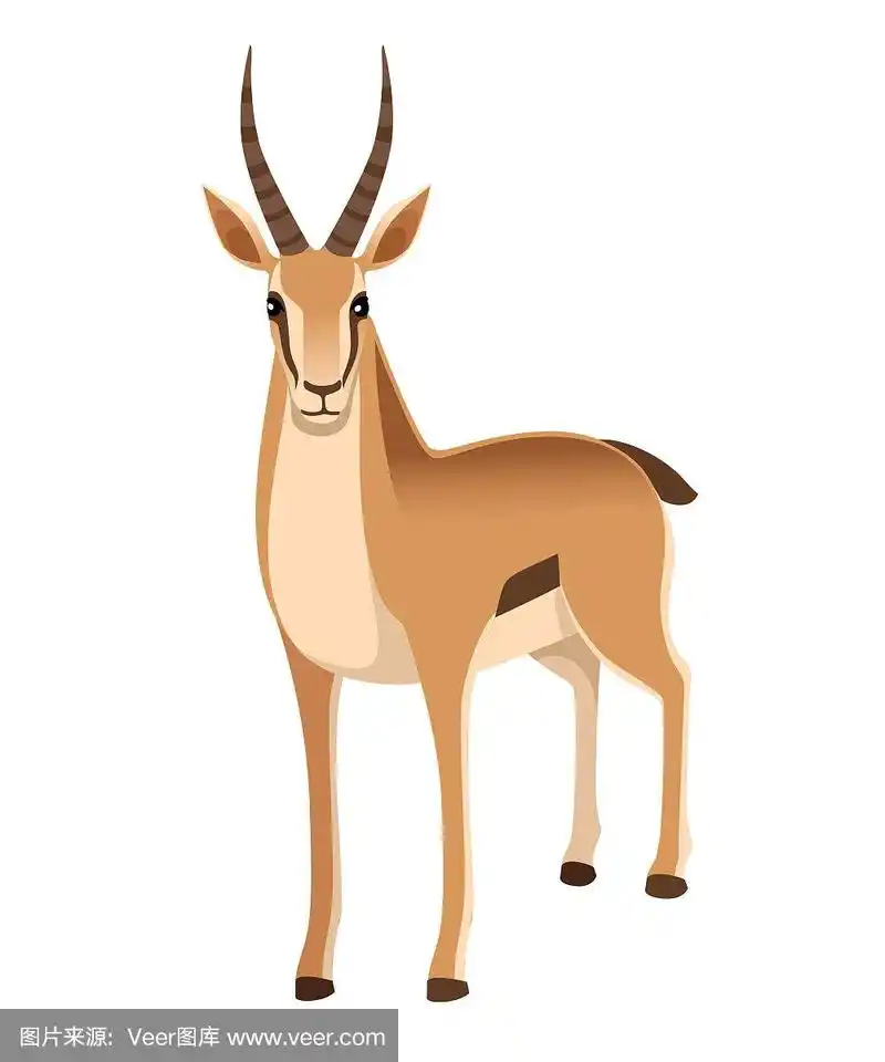 长的,动物,有角的,羚羊,绘画插图