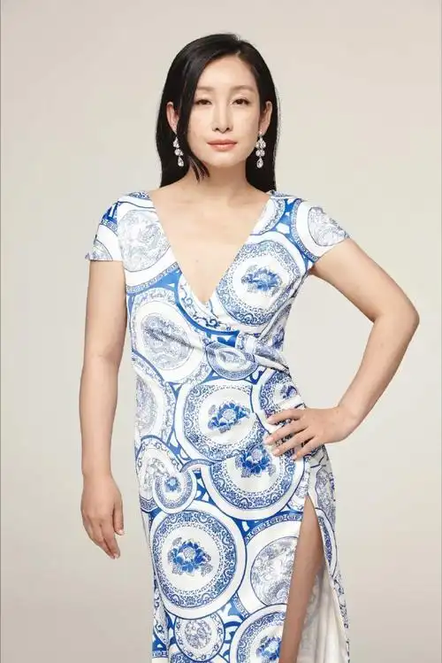 秦海璐机场造型第一章回国